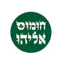 תמונה 3 של חומוס אליהו